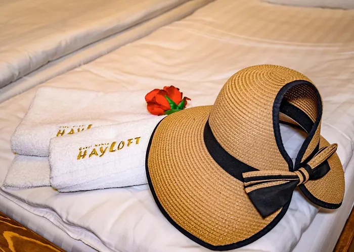 плевнята * Banszko