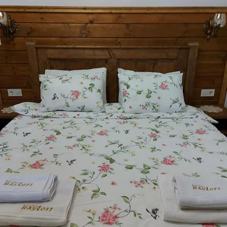 плевнята Dağ evi *