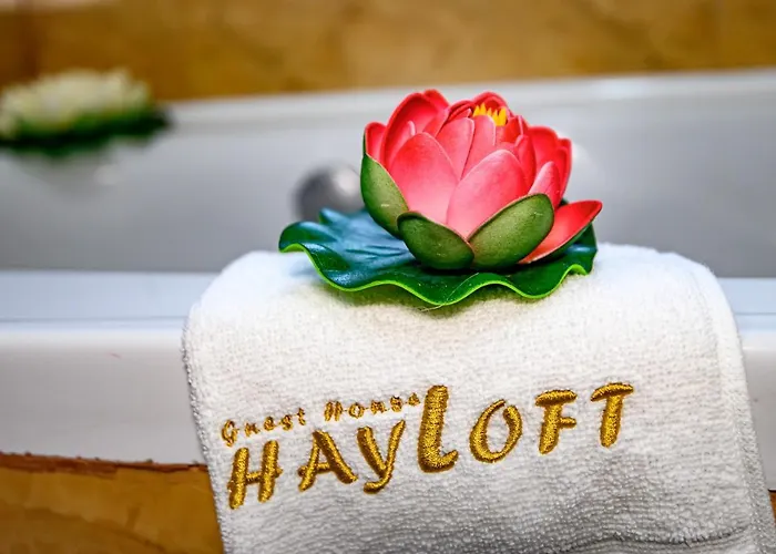 плевнята בנסקו