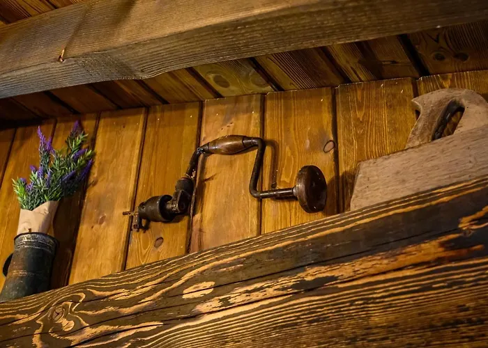 плевнята בנסקו