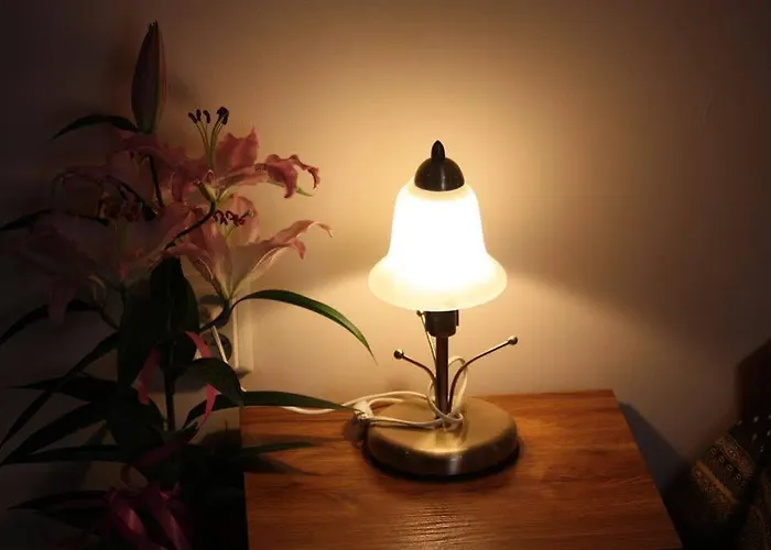 плевнята בנסקו